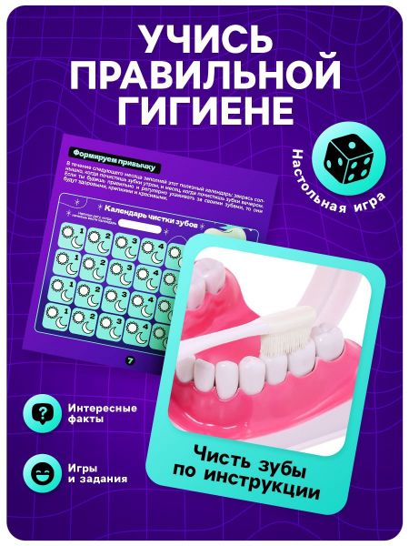 ЭВРИКИ Набор для опытов "Анатомия", челюсть человека   10726348