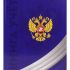 Книга Учёта  80л клетка тв.обл.офсет "Символика России-4" глянц.лам. 80-4633 Проф-Пресс