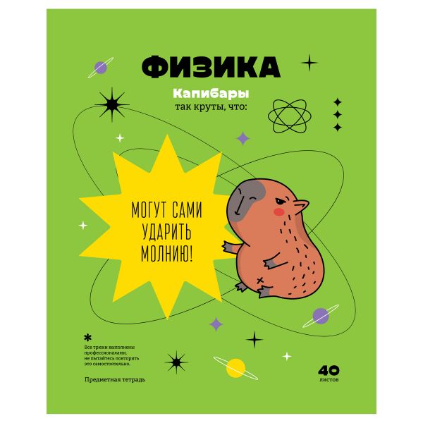 Тетрадь предметная 40л. BG "Записки школьника" - Физика, эконом ТПск40 12818