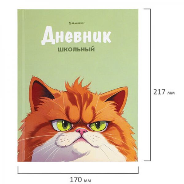 Дневник 5-11 класс 48 л., твердый, BRAUBERG, выборочный лак, с подсказом, "Суровый Кот", 107196