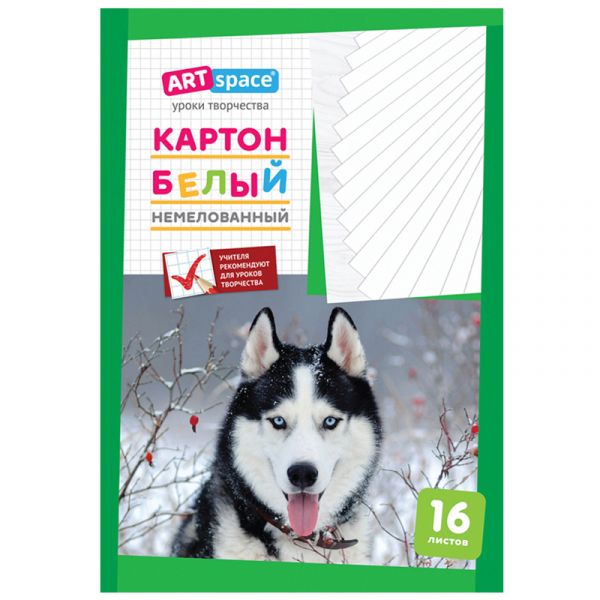Картон белый А4, ArtSpace, 16л., немелованный, в папке Нкн16б_6962 / 220683