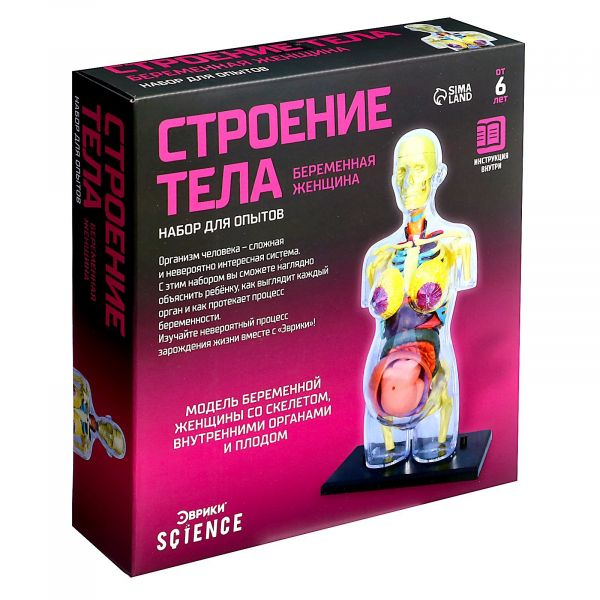 ЭВРИКИ Набор для опытов "Строение тела", беременная женщина   9405614