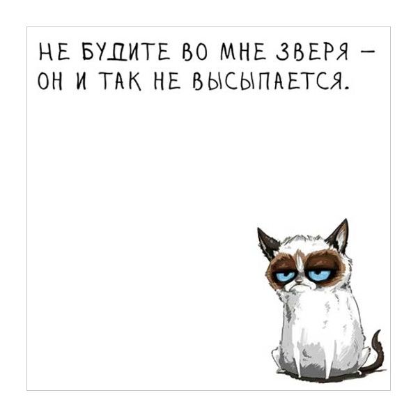 Бумага д/записей  80*80мм /50л  "Не будите..." NEW М-04 Сиббланкоиздат