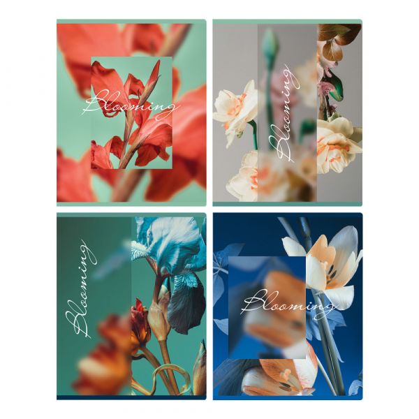 Тетрадь 48л., А5, клетка BG "Blooming", матовая ламинация Т5ск48_мл 12712
