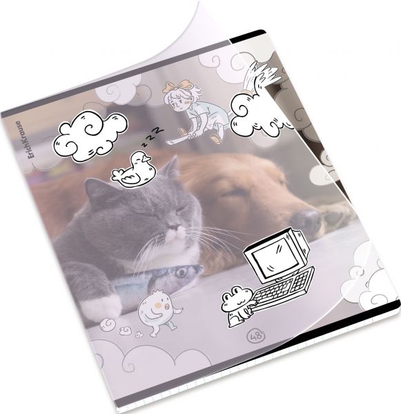 Тетрадь  48л А5+ клетка/пластик обл./ "Dream Cat"  /ассорти 54161 Erich Krause