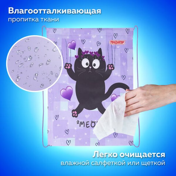 Мешок для обуви ПИФАГОР, 1 отделение, 42х34 см, "Falling cat", 272383