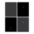 Тетрадь 48л., А5, клетка BG "Monocolor. Black. Concise", soft-touch ламинация, Т5ск48_лс_тф 12234