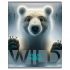 Тетрадь 48л., А5, клетка BG "Wild", суперэконом, универсальный Т5ск48 60312