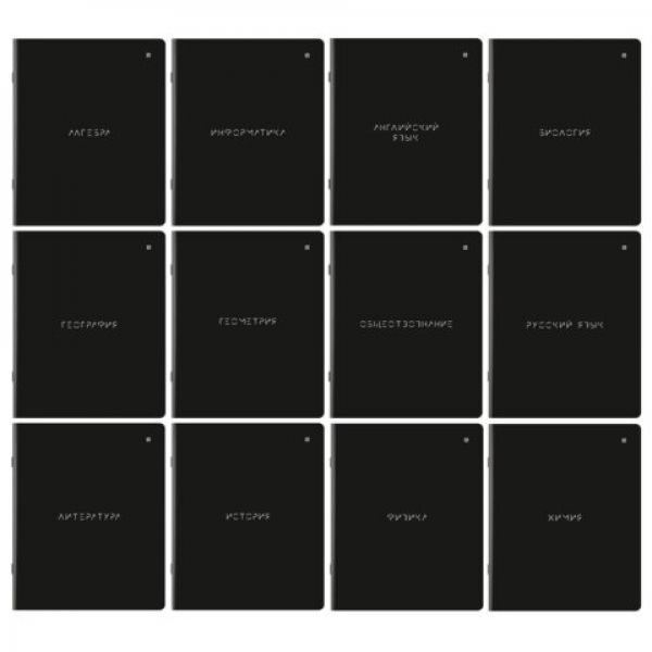 Тетради предметные, КОМПЛЕКТ 12 ПРЕДМЕТОВ, "MINIMAL", 48 л., матовая ламинация, BRAUBERG, 404831