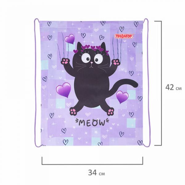 Мешок для обуви ПИФАГОР, 1 отделение, 42х34 см, "Falling cat", 272383