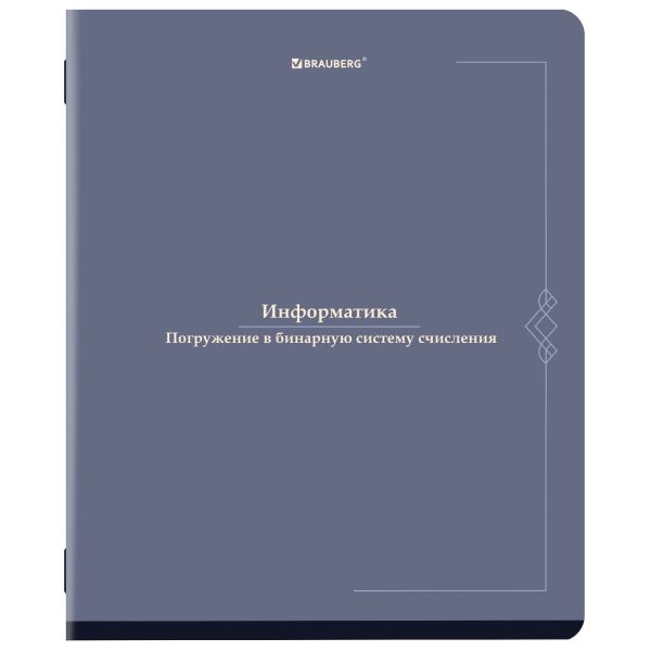 Тетрадь предметная VINTAGE 48 л., SoftTouch, ИНФОРМАТИКА, клетка, подсказ, BRAUBERG, 405154