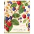 Дневник 1-11 кл. 48л. (твердый) BG "Berries", матовая ламинация, выб.лак Д5т48_лм_вл 64606