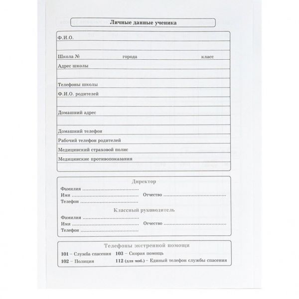Дневник 1-11кл. /тв.обл./глянец/лен/резинка "Два котика-2" NEW Д40-3768 Проф-Пресс
