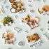 Наклейки объемные MESHU "Robopets", 10*23см, пакет европодвес MS_57659