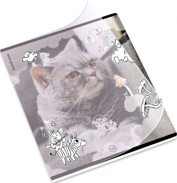Тетрадь  48л А5+ клетка/пластик обл./ "Dream Cat"  /ассорти 54161 Erich Krause