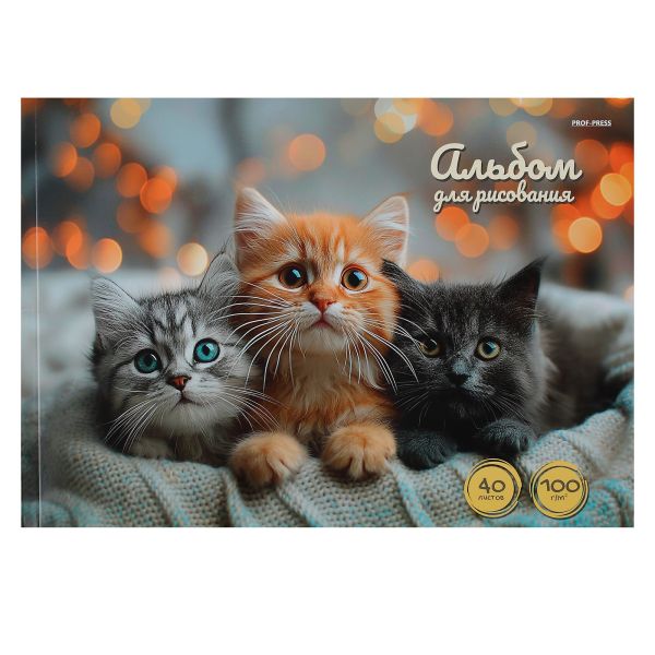 Альбом д/рисования-склейка 40л "Три котёнка-1" NEW 40-3901 Проф-Пресс
