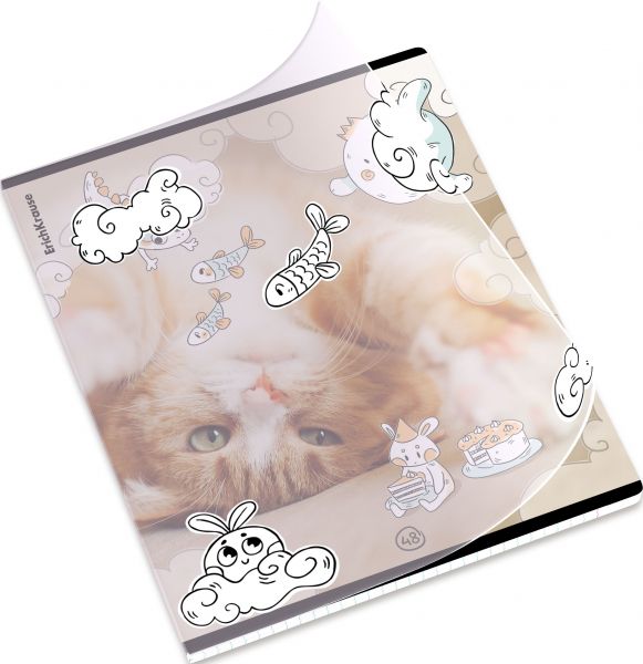 Тетрадь  48л А5+ клетка/пластик обл./ "Dream Cat"  /ассорти 54161 Erich Krause