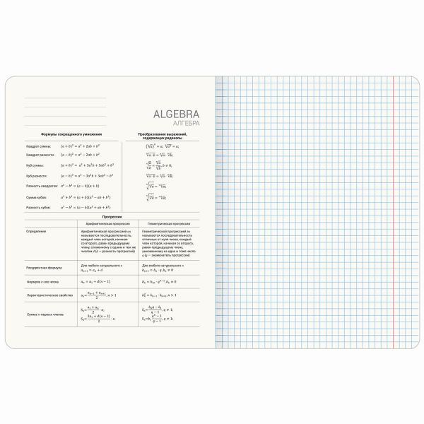Тетрадь предметная ДАТЫ 48 л., TWIN-лак, АЛГЕБРА, клетка, подсказ, BRAUBERG, 405122
