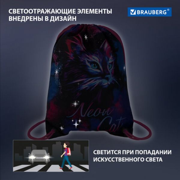 Мешок для обуви BRAUBERG PREMIUM, карман, подкладка, светоотражайка, 43х33 см, "Neon cat", 271621