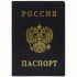 Обложка для паспорта ПВХ с тиснением черная 2203.В-107 ДПС {Россия}
