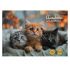 Альбом д/рисования-склейка 40л "Три котёнка-1" NEW 40-3901 Проф-Пресс