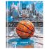 Дневник 1-11 кл. 40л. (твердый) BG "Basketball sketch", матовая ламинация Д5т40_лм 64674
