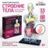 ЭВРИКИ Набор для опытов "Строение тела", беременная женщина   9405614