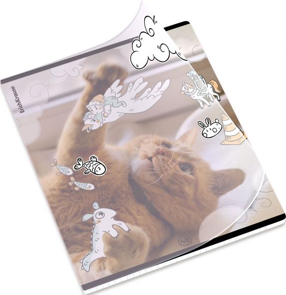 Тетрадь  48л А5+ клетка/пластик обл./ "Dream Cat"  /ассорти 54161 Erich Krause