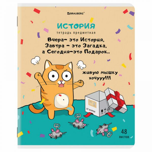Тетрадь предметная "КОТ-ЭНТУЗИАСТ" 48 л., TWIN-лак, ИСТОРИЯ, клетка, подсказ, BRAUBERG, 404563
