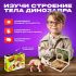 ЭВРИКИ Набор для опытов "Диномир", строение тела динозавра, трицератопс   10179824