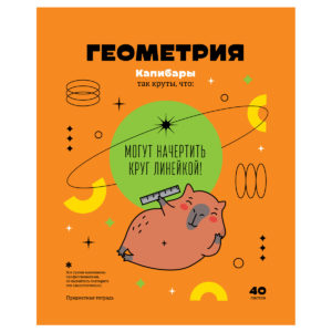 Тетрадь предметная 40л. BG "Записки школьника" - Геометрия , эконом ТПск40 12823