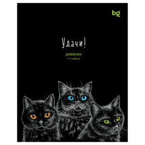Дневник 1-11 кл. 40л. на скобе BG "Удачи!" Д5ск40 08385