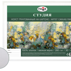 Холст на картоне Гамма "Студия", 30*40см, 100% хлопок, 280г/м2, мелкое зерно 280818_06